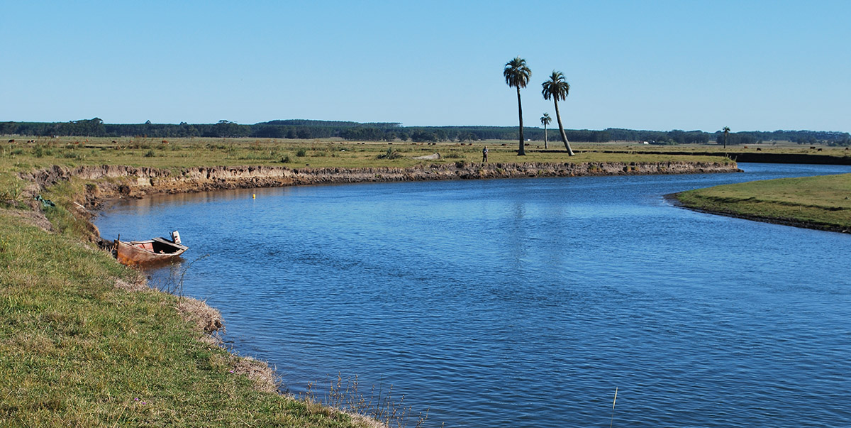 arroyo valizas