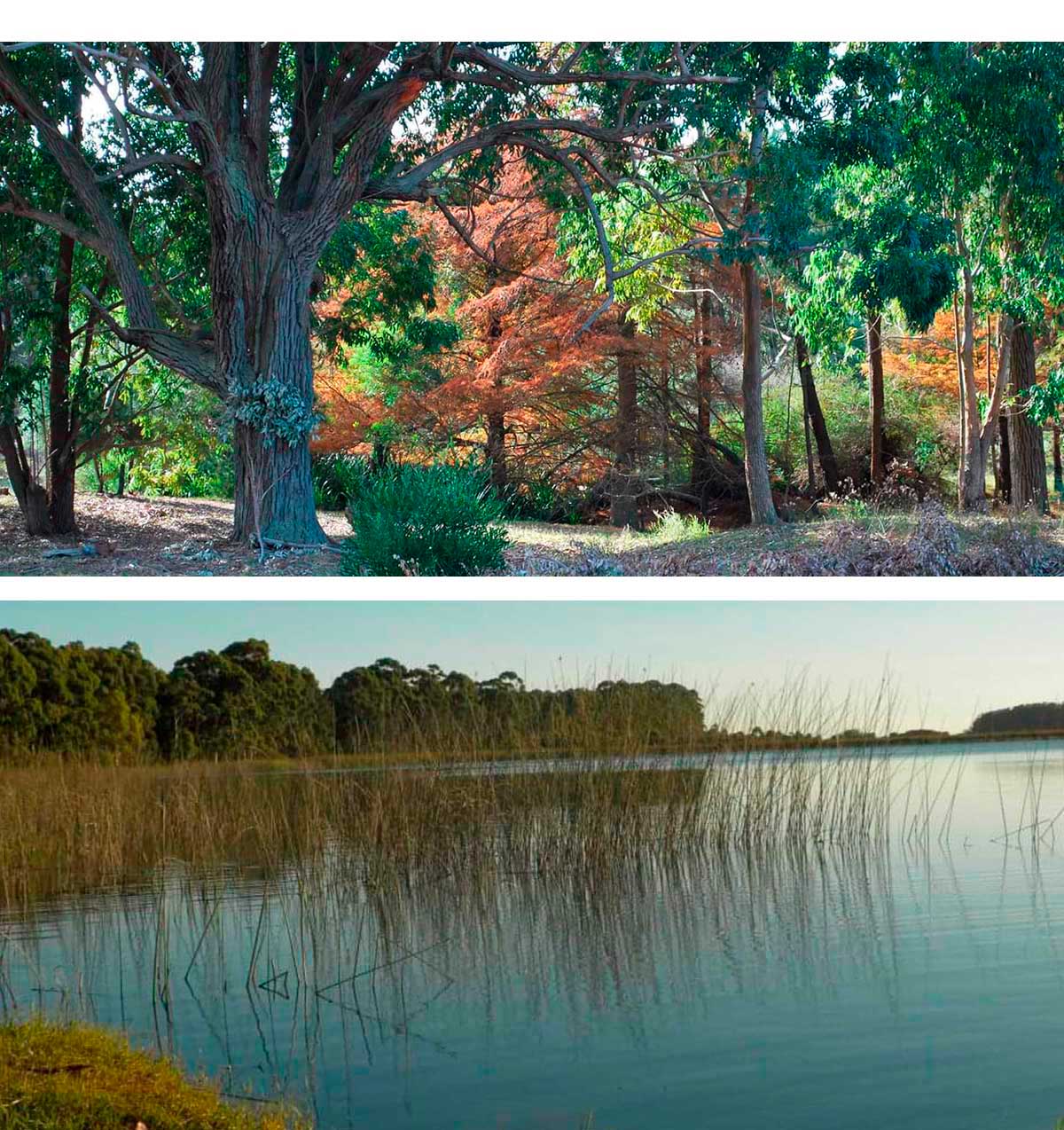 Laguna de Briozzo